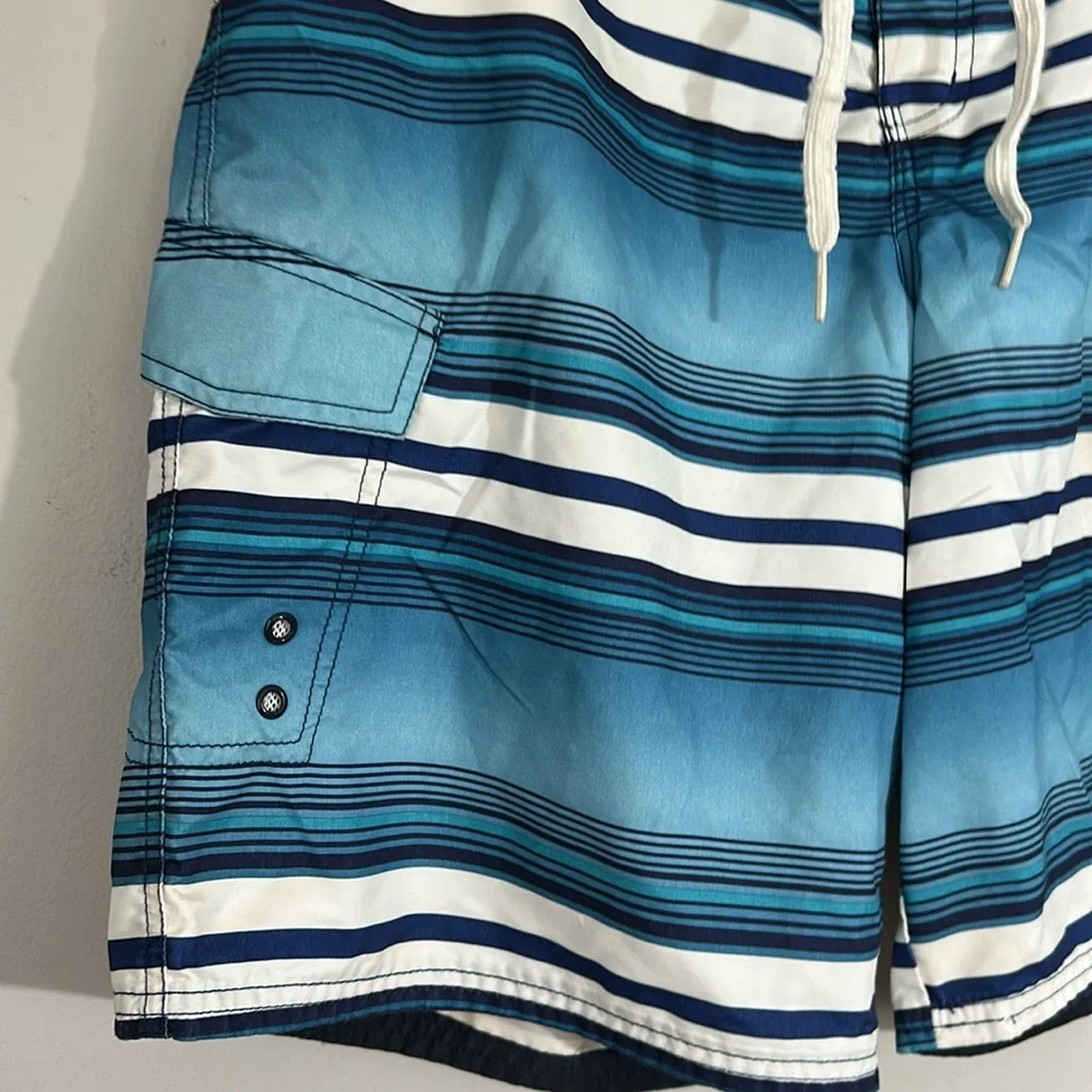 Men's Blue Striped Swim Shorts